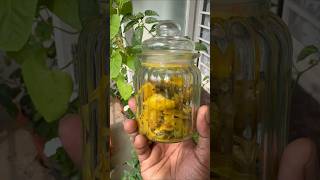 വെള്ള നാരങ്ങ അച്ചാർ | white Lemon Pickle🍋 #dailyvlog #food #pickle #lemon #kerala #recipe #trending