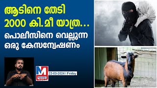 രണ്ടായിരം കി.മീ പോയി കള്ളന്മാരെ പൊക്കിയ സഹോദരങ്ങളുടെ കഥ | Goats