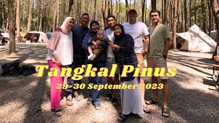 Tangkal Pinus Jayagiri Lembang, Dinginya Juara