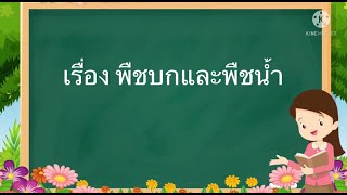 ประถมออนไลน์ \