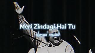 Meri Zindagi Hai Tu | Nusrat Fateh Ali Khan | (Slowed reverb) Lofi song