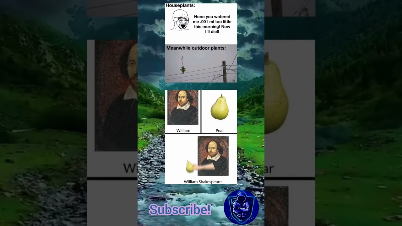 Daily Dose Of Meme For You Viral Funny Meme Housepetscare