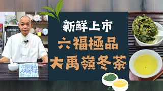 台灣好茶推薦｜六福極品大禹嶺冬茶🥳新鮮上市【售完】馥優精品茶  EP.22