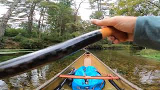 Canoe Morning on the Swift River