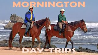 Mornington Peninsula | Day-trip ideas near Melbourne Australia