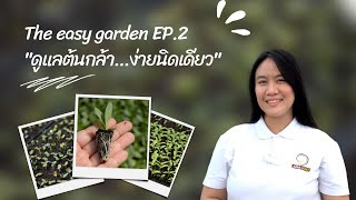 The Easy Garden | ปลูกดอกไม้...ง่ายนิดเดียว \