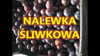 Nalewka Śliwkowa - prosta i rozgrzewająca