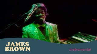 James Brown - Instrumental (Internationales Rockkonzert gegen Apartheid, June 26, 1988)