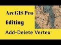 ArcGIS Pro - Editing : Add - Delete Vertex