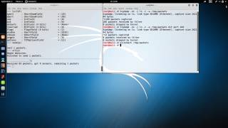 Introduction to Crafting Network Packets with Scapy
