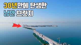 30년만에 탄생한 낭만 브릿지🩵 관광에 진심인 도시⛵️ 이국적 풍경과 럭셔리 감성을 한 번에🏖️ 대중교통🚃