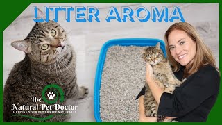 Safely Add Essential Oils to Help Your Cat with Dr. Katie Woodley - The Natural Pet Doctor