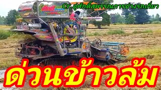 รถเกี่ยวข้าว ศักดิ์สุพรรณการช่าง ดันข้าวล้ม Combine harvester