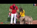 Animals on Baseball Field