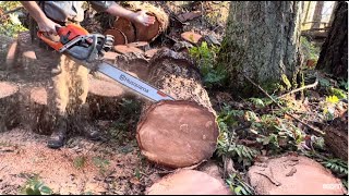 Breaking in Husqvarna 562xp mark11, first real cuts