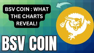 BSV COIN CHART INSIGHTS!