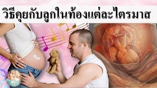 พัฒนาการทารกในครรภ์ : วิธีคุยกับลูกในท้องแต่ละไตรมาส | ลูกน้อยในครรภ์ | คนท้อง Everything