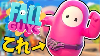 【Fall Guys】夏だ！！勝てば貰える限定スキンをゲットしようぜ【フォールガイズ】