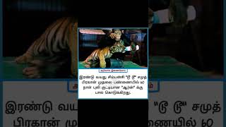 இரண்டு வயது சிம்பன்சி 60 நாள் ஆன 🐅புலி குட்டிக்கு 🍼பால் ஊட்டும் காட்சி...