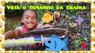 Diversão com direito a peixe