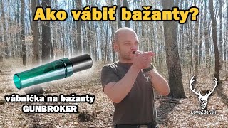 Ako vábiť bažanty? | vábnička na bažanty GUNBROKER  | vábenie, škola vábenia