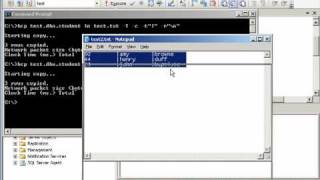 SQL 2005 data import / export techniques