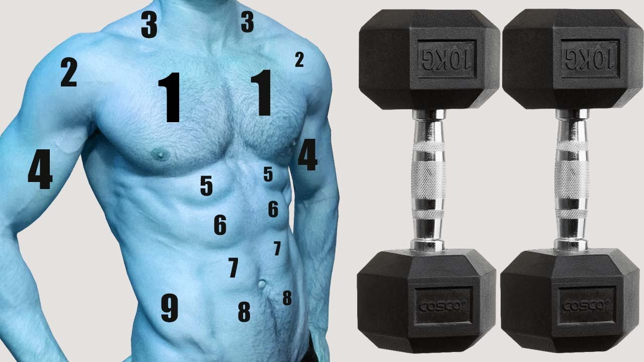 THE COMPLETE DUMBBELL EXERCISE GUIDE: 85 MUST TRY EXERCISES - YouTube