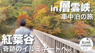 【1泊2日、車中泊の旅】(前編)上川大雪山、層雲峡の紅葉谷で奇跡のイルミネートを楽しみました。