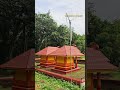 aneekkara sree poomala bhagavathi temple poomalabhagavathytemple bhagavathitemple shortsvideo