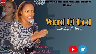 Prophet Aster Chala Tuesday program (Yahawe Tv) |የምፈልገው ጌታ ለእኔ ይገኛል |ነብይት አስቴር ጫላ| አዲስ አበባ አጥቢያ|