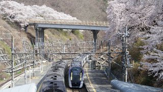 桜の散るE353系あずさ通過in甲斐大和 #桜　＃E353系