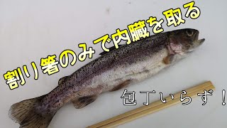 31.【簡単な内臓の取り方】「川魚」塩焼きなどに