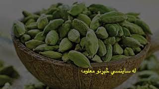 ایا د لاچي د فایدو څخه خبر یاست؟