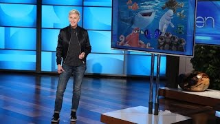 Ellen's Comments on the Travel Ban