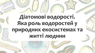 Біологія 7 клас §15 Діатомові водорості. Яка роль водоростей у природних екосистемах та житті людини