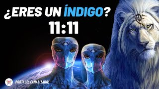 Conoce las características de los Indigos: \