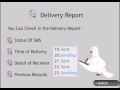 How to check bulk sms Delivery Report - MSG91.com