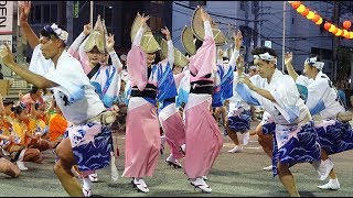 「うしお連」徳島阿波おどり2017@よんでん広場