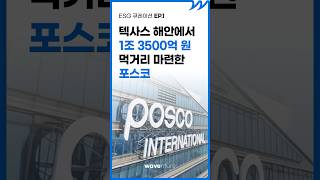 텍사스 해안에서 1조 3500억 원 먹거리 마련한 포스코 [ESG 교육｜ESG]