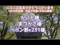 【完全試合】藤井聡太王将 vs 菅井竜也八段第73期alsok杯王将戦　七番勝負第2局【ゆっくり将棋解説】