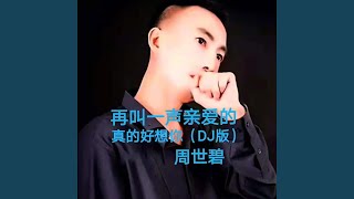 再叫一声亲爱的真的好想你 (DJ版)