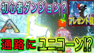 クリスマスイベント開幕  12/21〜復刻ダンジョン攻略！ 【ARKモバイル】 #148