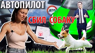 Автопилот Тесла спасает жизни ?? Задавили собаку... Как работает Автопилот Tesla Model 3