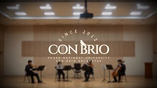 [PNU CONBRIO] 제 15회 앙상블 축제 Johann Pachelbel : Canon in D major, P.37