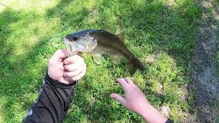 Urban Canal Fishing Savannah Georgia