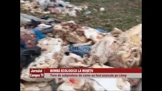 BOMBA ECOLOGICA LA RUSETU