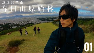 【奈良若草山】春日山原始林 01