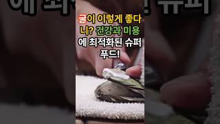 굴이 이렇게 좋다니? 건강과 미용에 최적화된 슈퍼푸드!