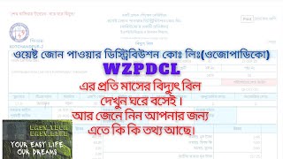 WZPDC Electricity Bill Paper Print \u0026 Details. (ওজোপাডিকো এর বিদ্যুৎ বিল এর বিস্তারিত).