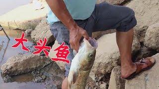 農村大叔高空釣魚，6斤大頭魚讓人眼饞，小伙趕緊用撒網試試【石頭秀】